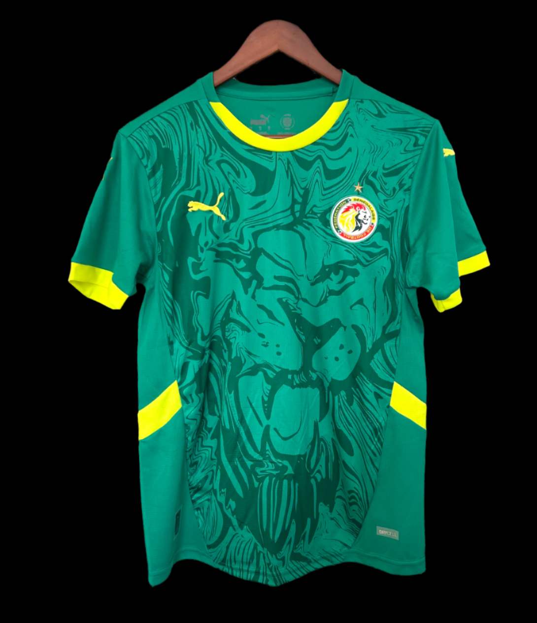 senegal-shirt-home-2024-2025