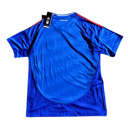 Italy stussy jersey blue